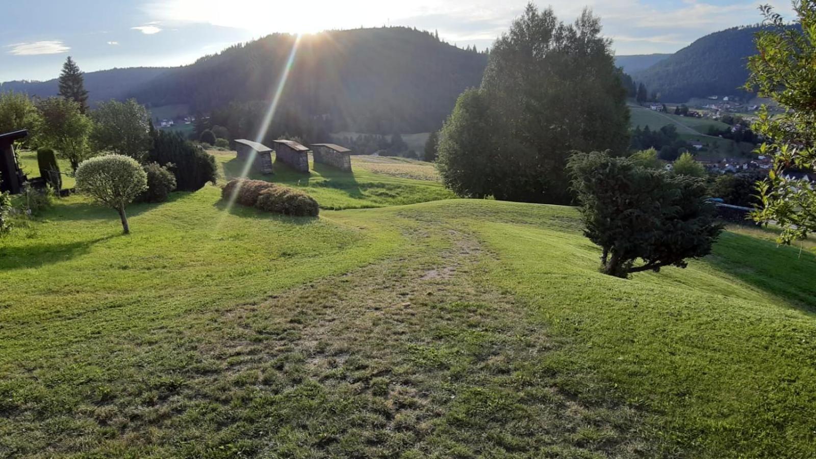 Ferienhaus Seefried Baiersbronn Bagian luar foto