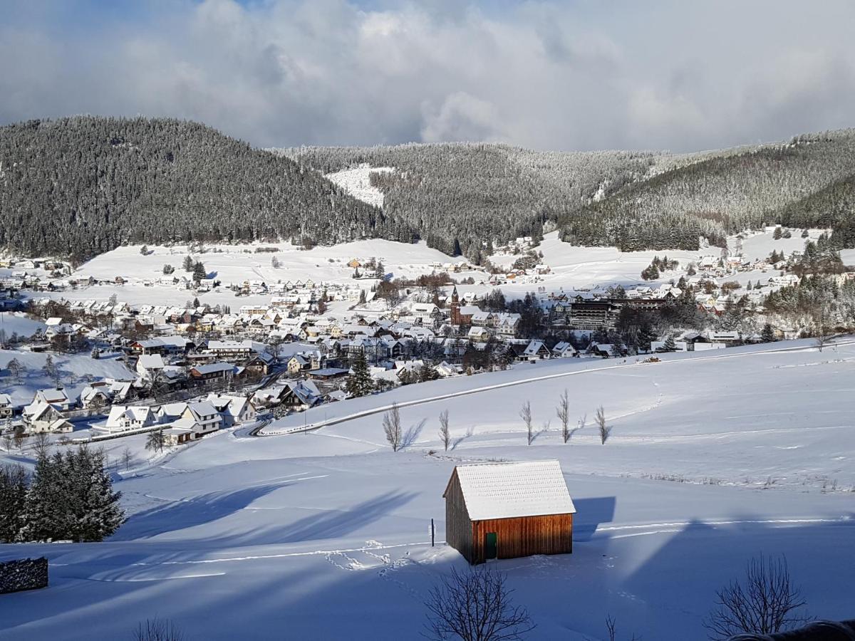 Ferienhaus Seefried Baiersbronn Bagian luar foto
