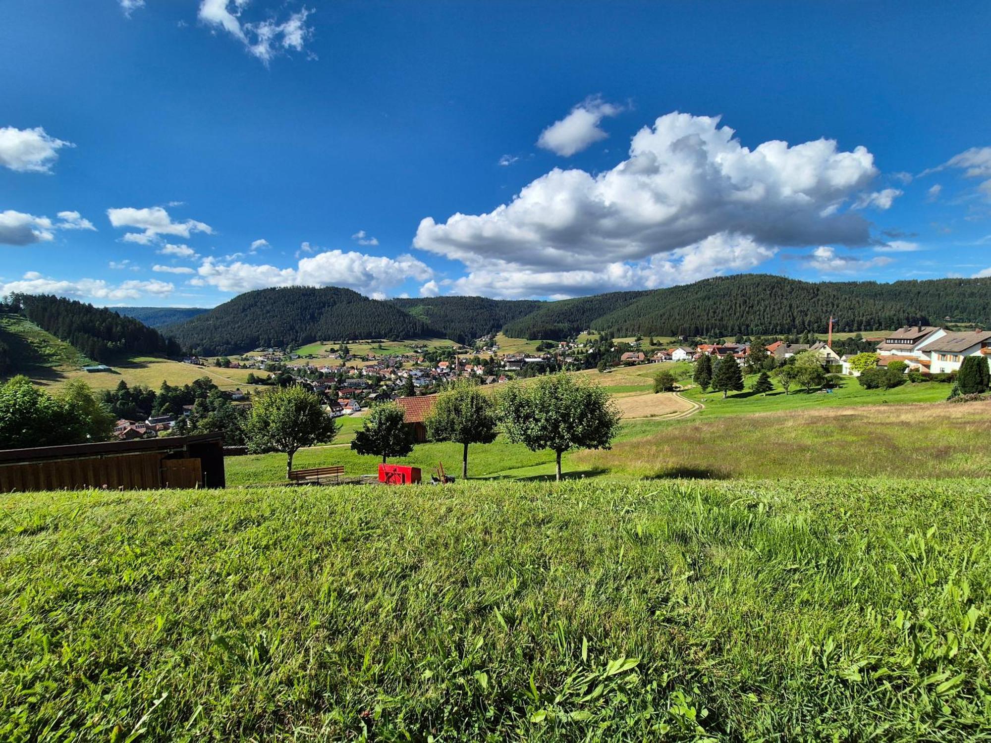 Ferienhaus Seefried Baiersbronn Bagian luar foto